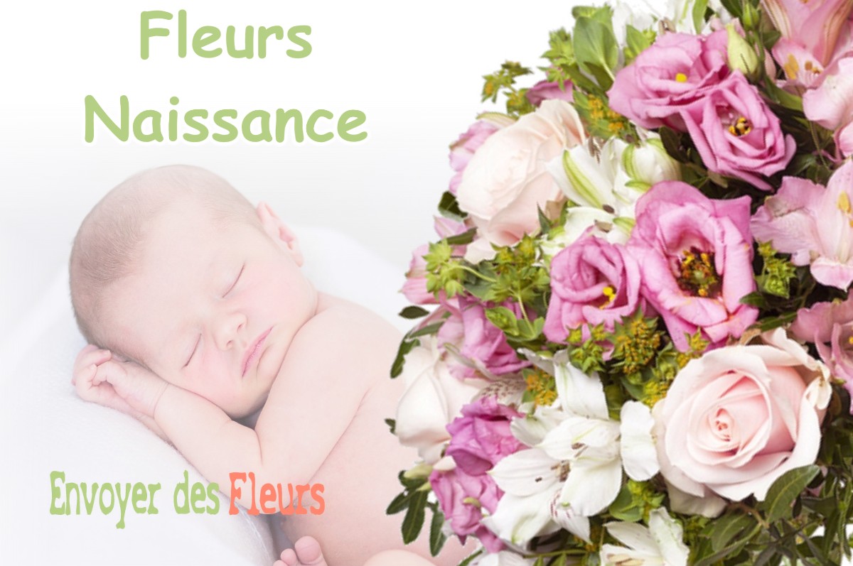 lIVRAISON FLEURS NAISSANCE à VENOSC